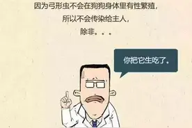 关于宠物弓形虫--这一篇就够了图片