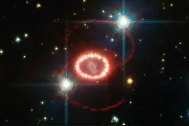 中微子，风雨兼程的60年图片