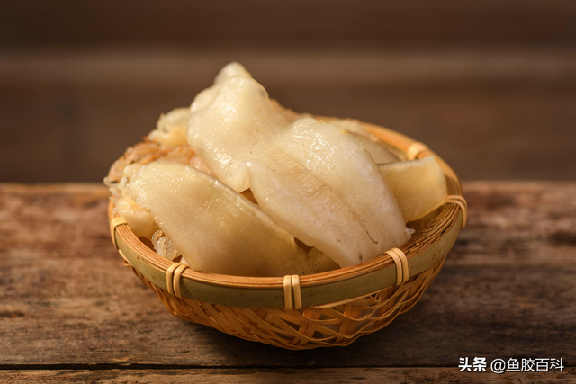 花胶 百科 花胶百科全书