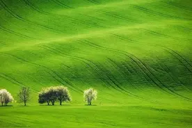 上海初高中化学辅导书推荐（二）图片