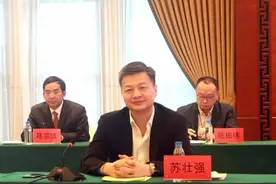 闷声发大财！汕头峡山女富豪苏素玉家族凭什么做到高盈利低负债？图片