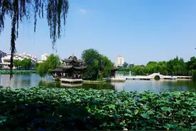 扬州的疫情和成都的麻将之联想图片