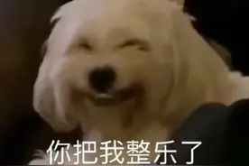 iPhone信号问题争议不断！将不再支持电信2/3G图片