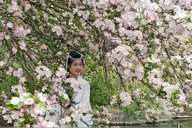 终日同床异梦，不免家破人亡图片