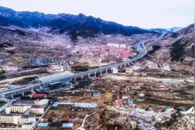 韩国人蜂拥飞往青岛？大数据告诉你，这是谣言图片