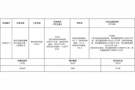 五一不放假！南沙横沥岛尖38亿元再挂巨无霸商住地图片