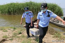 禁渔期，他们竟在东平湖非法电鱼，后果很严重！图片