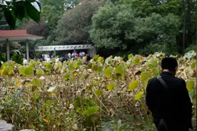 女孩千里迢迢来相亲，被男子拒绝后当场爆发了图片