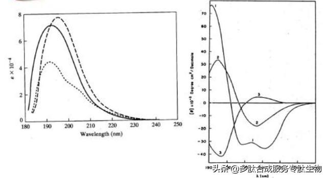 多肽的结构分析方法