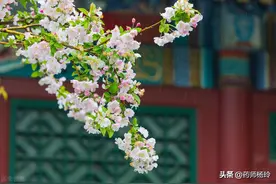 酸入肝，春季养肝是多食酸，还是少食酸？春季养生四要点图片