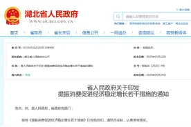 湖北省政府出台30条促消费稳增长措施图片