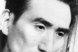 看完《人间失格》这10句话我才明白：原来向人诉苦不过是徒劳图片