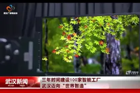 未来三年武汉将建成100家智能工厂图片