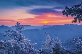 美！冬日，冰封仙境里太平国家森林公园玉树银花图片