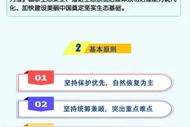 一图读懂《全国重要生态系统保护和修复重大工程总体规划（2021-2035年）》图片