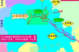 山东神奇的公路S229省道#临沂#沂源#邳州图片
