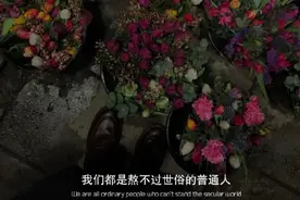 没什么表达欲，也无所谓别人懂不懂图片