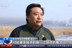 央视报道！狼被列为国家二级保护动物！图片