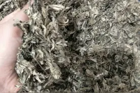爱她，就给她做一个艾草坐垫，解决很多女性问题，不花钱还很实用图片