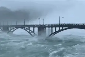 新安江水库飞出上百元一斤的千岛湖‬胖头鱼？场面震撼！官方：别去图片