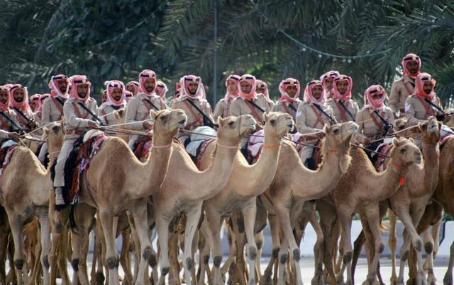 骆驼背上的枪炮，现实版的合金弹头