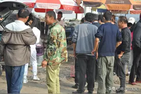 1岁泰迪卖10000元，背筐的狗狗作揖讨好路人，看咋回事图片