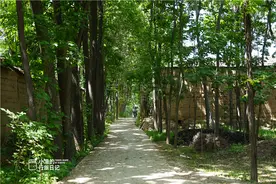陕西关中有座神秘古村，人们都住在地底下，串门像搞“地道战”图片
