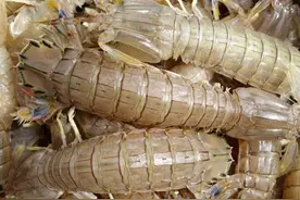 吃海鲜也要讲究“时令”，老渔民不会告诉你的海鲜日历，请收好图片