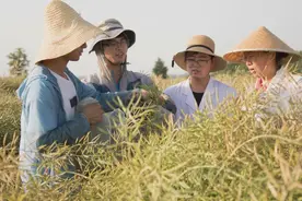 这么“土渣”的专业，毕业生都能高薪就业图片