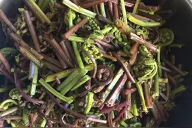 凉拌广东菜，柳蒿芽炖鱼，美味的山野菜图片