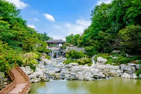 「预告」5月11日扬州市委副书记、市长张宝娟将走进《政风热线·市长上线》图片