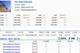 城阳南夏庄片区楼盘备案价涨幅惊人图片