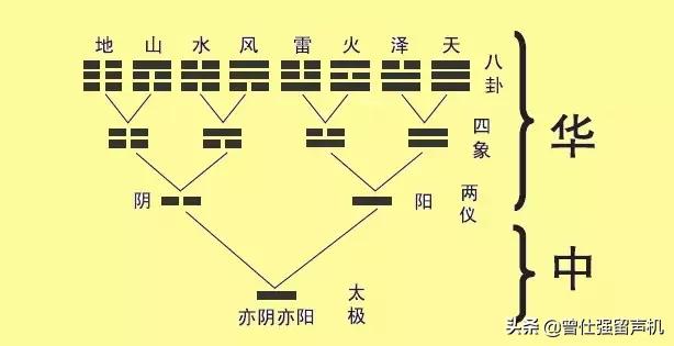 曾仕强教授：“种树和育人一样，是希望，是传承，是生生不息。”