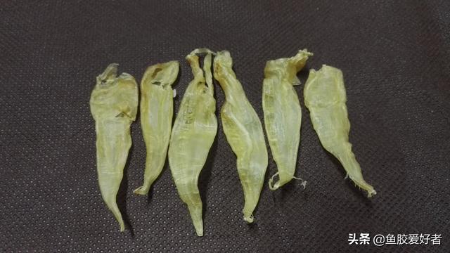 鱼胶的价格是炒高上去的吗 2025年鱼胶是不是越贵越好