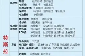 网友汇总特斯拉供应链名单：品牌是美国的 其余均是中国造图片
