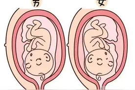 你听过“前壁生男、后壁生女”吗？专家：虽是迷信但位置很重要图片