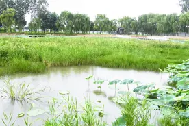 手把手教你送礼图片