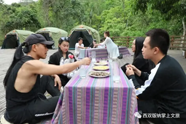 懒腰app逾期，森林公园湄公河水底世界门票多少价钱 配图22