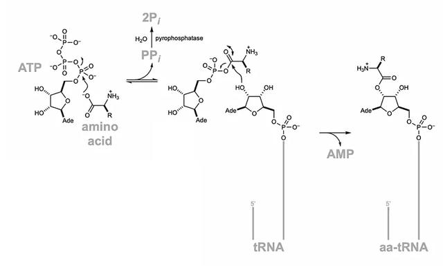 “万世浮华，万宗归一”之异腈