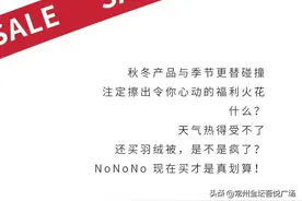 艾美家 l 品质羽绒被一降到底，一年只有一次图片