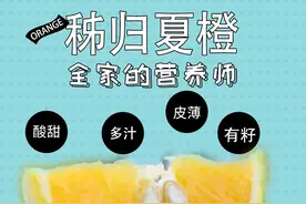 抢疯了！秭归夏橙来了！太便宜了！关键好吃图片