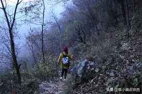 在秦岭赶夜路，深山发现“无人村”，屋檐下还堆着柴火，却不见人图片