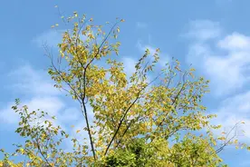 专业英语Day243丨尚未找到真正有效的方法预测投资回报图片