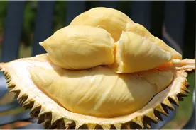 买榴莲别只会捏刺尖，教你3招，保证一挑一个准，个个肉多味道甜图片