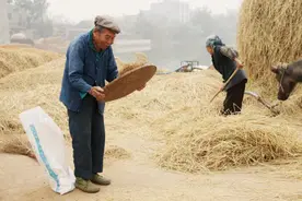 故事：分家产老二老三各得两万，老大只得一辆鸡公车，随后惊喜来了图片