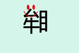11张图片，对应11个成语，第8题可以有多个答案图片