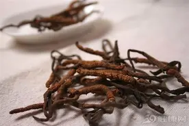 冬虫夏草被食药局踢出“保健品”之列！专家：长期服用或致砷中毒图片