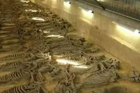 江西发现千年古墓，墓中有46具赤裸少女陪葬，专家看后一阵胆寒图片