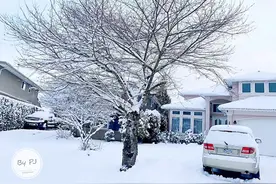 不建议移民到加拿大——在我的视角来说真话图片