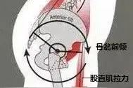 体能康复 | 跳绳中容易出现哪些问题呢？图片